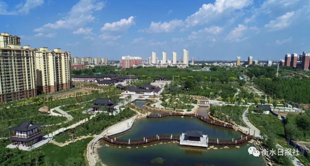 衡水现象，教育模式探索与挑战的探讨