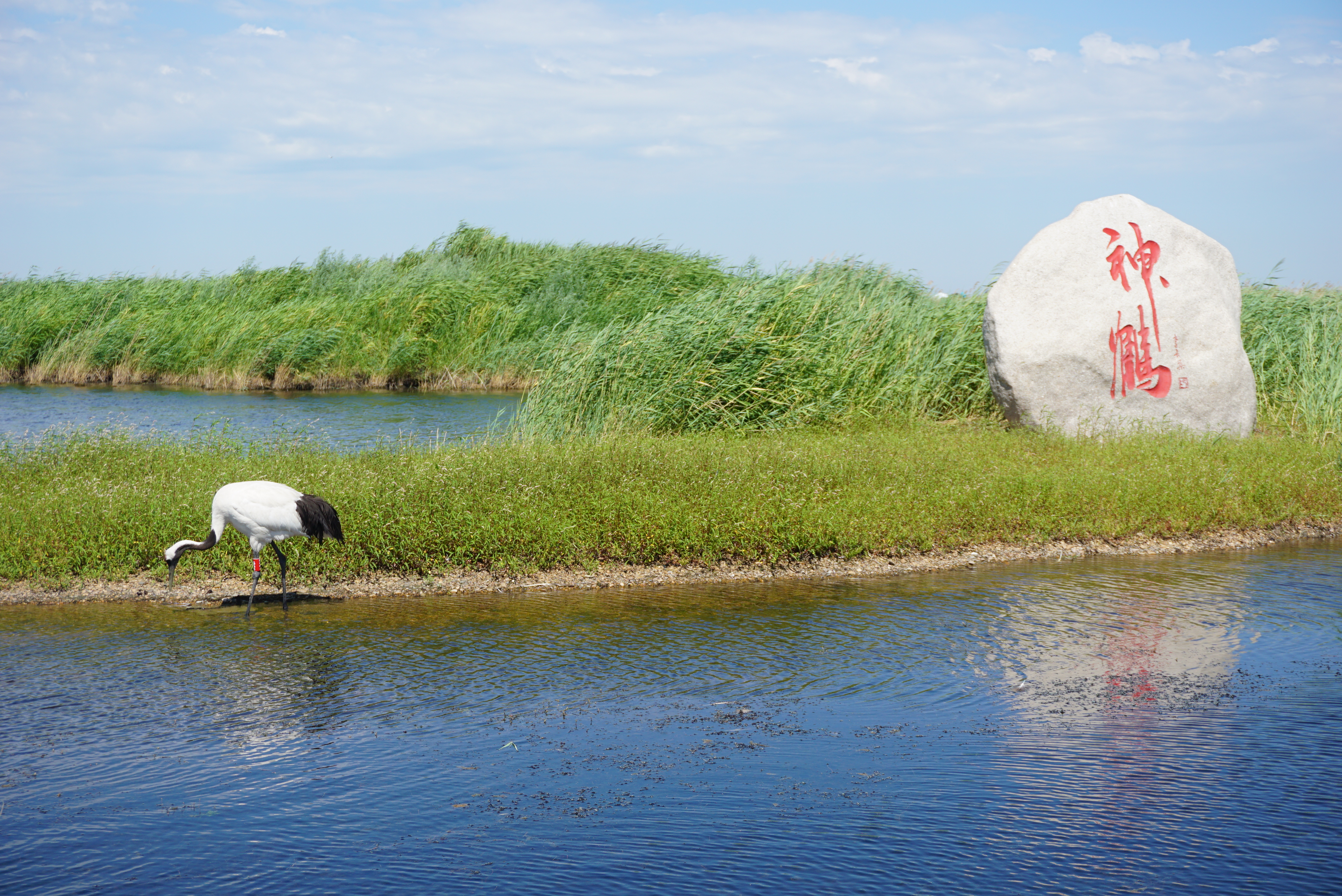 运城盛启,主持人倾情开场