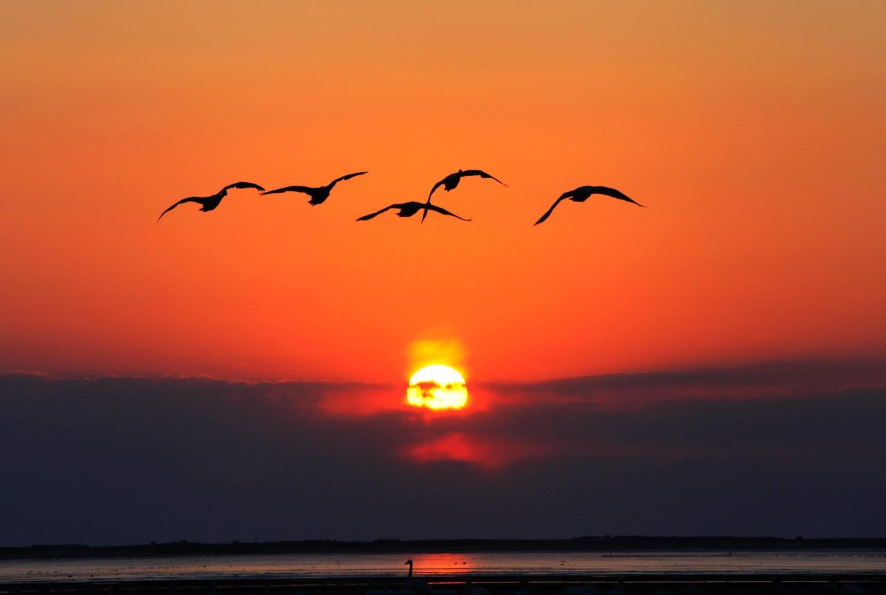 朝阳之美，小城故事的绚烂篇章